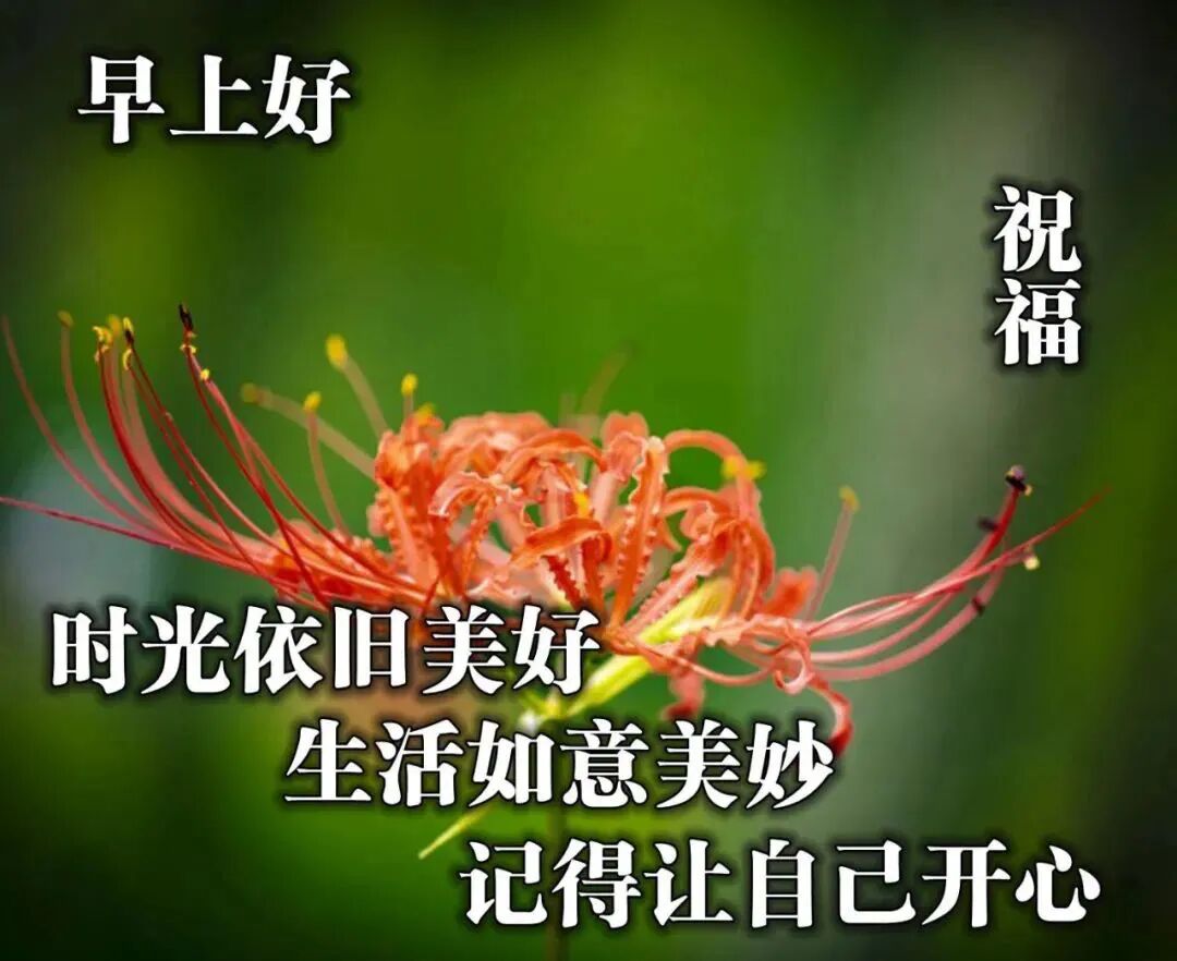 心灵成长 励志语录