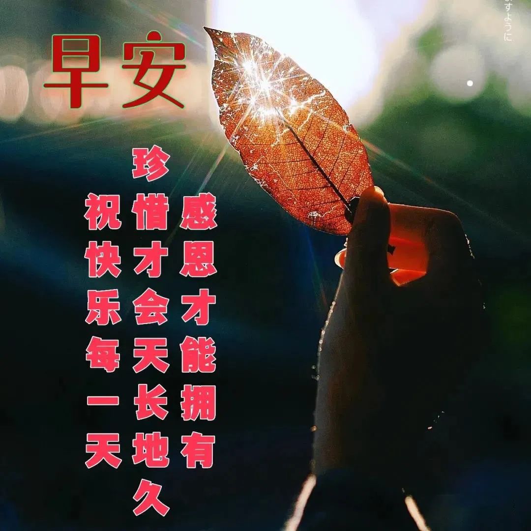 心灵成长 励志语录