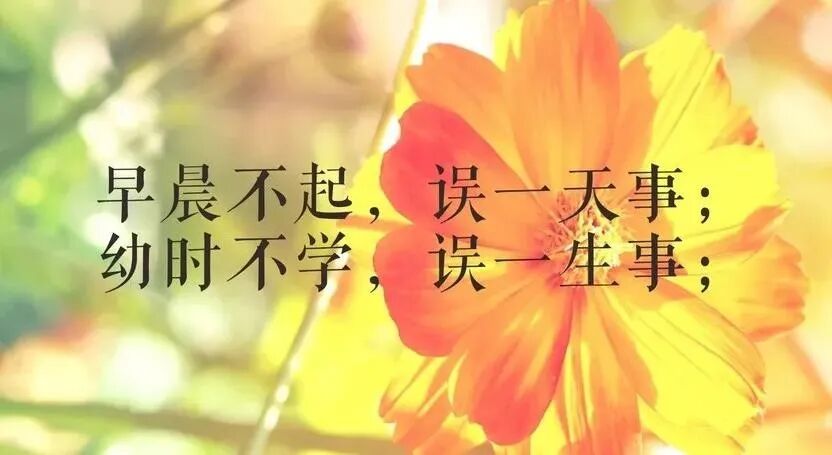 今日最新早上好图片,祝愿大家平安健康(今日最新早上好图片,祝愿大家平安健康的句子)