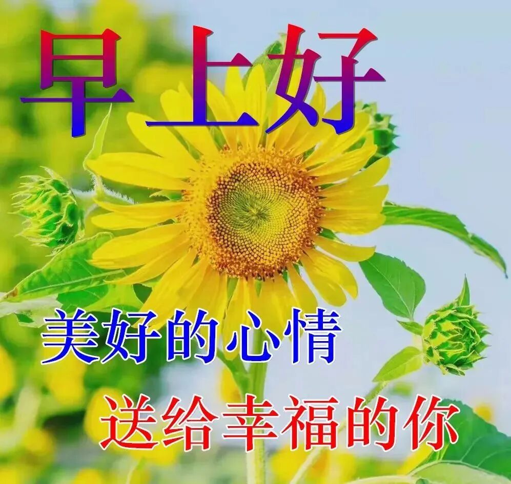今日最新早上好图片,祝愿大家平安健康(今日最新早上好图片,祝愿大家平安健康的句子)