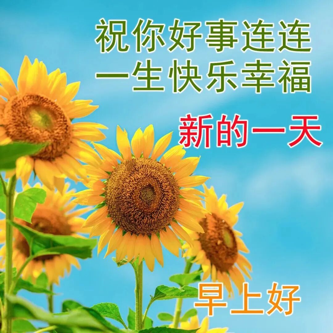 今日最新早上好图片,祝愿大家平安健康(今日最新早上好图片,祝愿大家平安健康的句子)