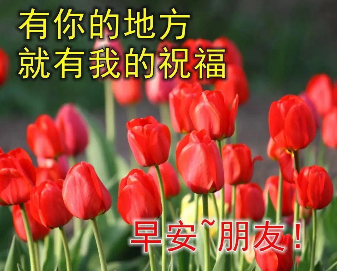 今日最新早上好图片，祝愿大家平安健康(今日最新早上好图片,祝愿大家平安健康的句子)