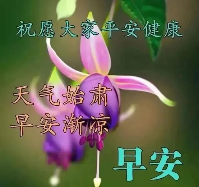 今日最新早上好图片，祝愿大家平安健康(今日最新早上好图片,祝愿大家平安健康的句子)