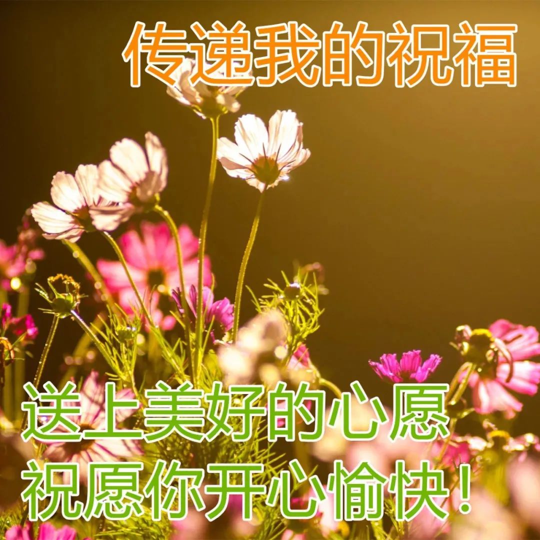 心灵成长 励志语录