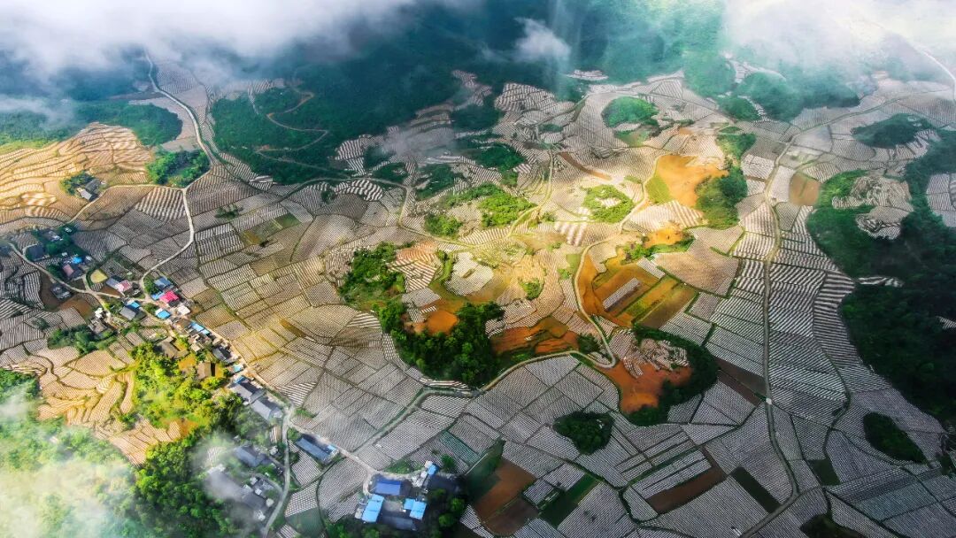 金色大安 湘西之巅振兴图卷美如画 热点讯息网