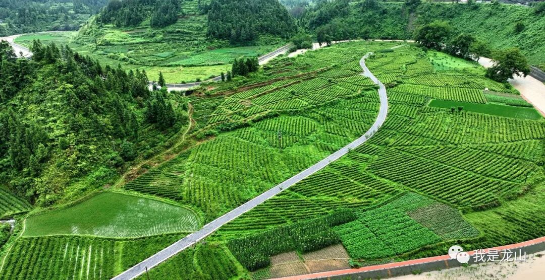 龙山县首届旅游发展大会暨第八届中国龙山舍巴日活动举行