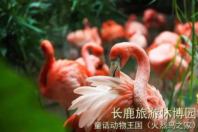 ˳�³�¹�����ݲ�԰99��2��2С��3����Ʊ��������������ݣ������е�+ͯ����������.....