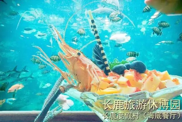 ˳�³�¹�����ݲ�԰99��2��2С��3����Ʊ��������������ݣ������е�+ͯ����������.....