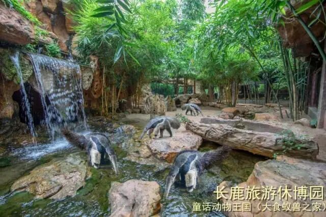 ˳�³�¹�����ݲ�԰99��2��2С��3����Ʊ��������������ݣ������е�+ͯ����������.....