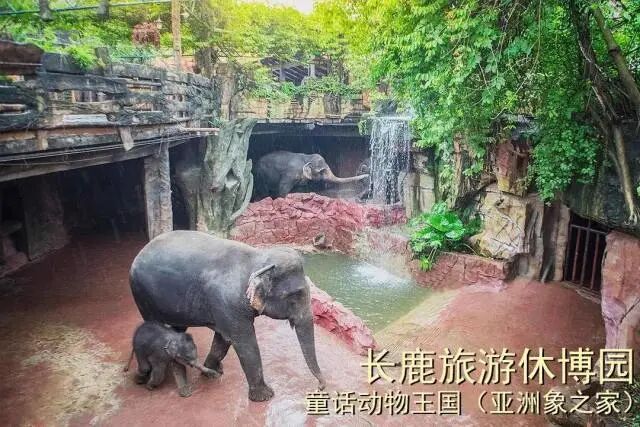 ˳�³�¹�����ݲ�԰99��2��2С��3����Ʊ��������������ݣ������е�+ͯ����������.....