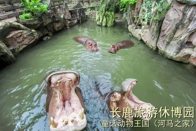 ˳�³�¹�����ݲ�԰99��2��2С��3����Ʊ��������������ݣ������е�+ͯ����������.....