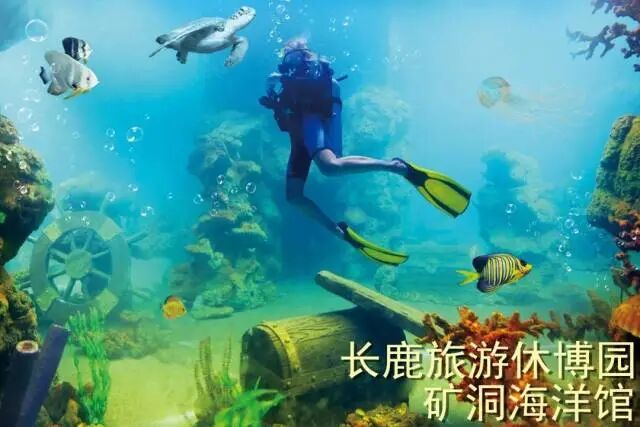 ˳�³�¹�����ݲ�԰99��2��2С��3����Ʊ��������������ݣ������е�+ͯ����������.....