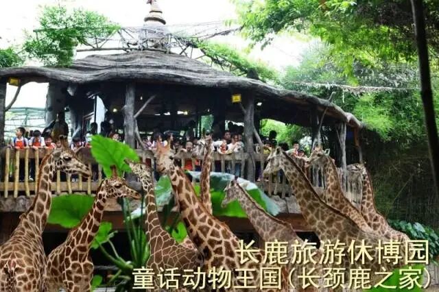 ˳�³�¹�����ݲ�԰99��2��2С��3����Ʊ��������������ݣ������е�+ͯ����������.....