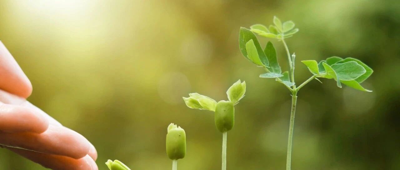 北京大学公共卫生学院院长孟庆跃：把疾控机构专业地位提升了，才能提高这个职业的吸引力