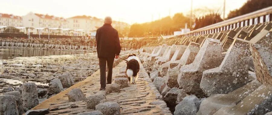 “宠物公案”提示疫情防控还有功课要做