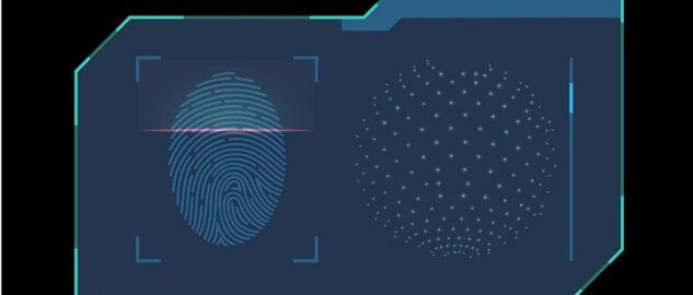 人类指纹形成之谜被破译！有望为疾病早期筛查提供全新思路