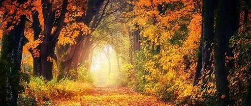 做好这3点，轻松度秋！