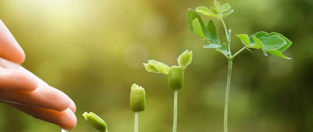 这1000天有多重要？抓住了它，将影响人一生的健康