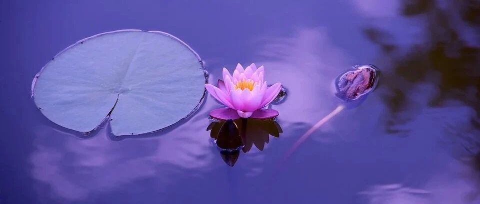 小暑来了，注意防暑