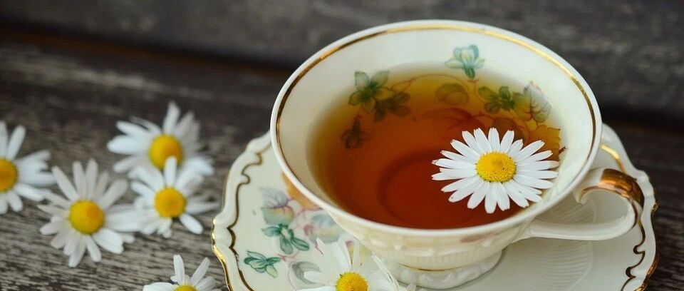 专家来辟谣 | 爱喝茶会骨质疏松吗？