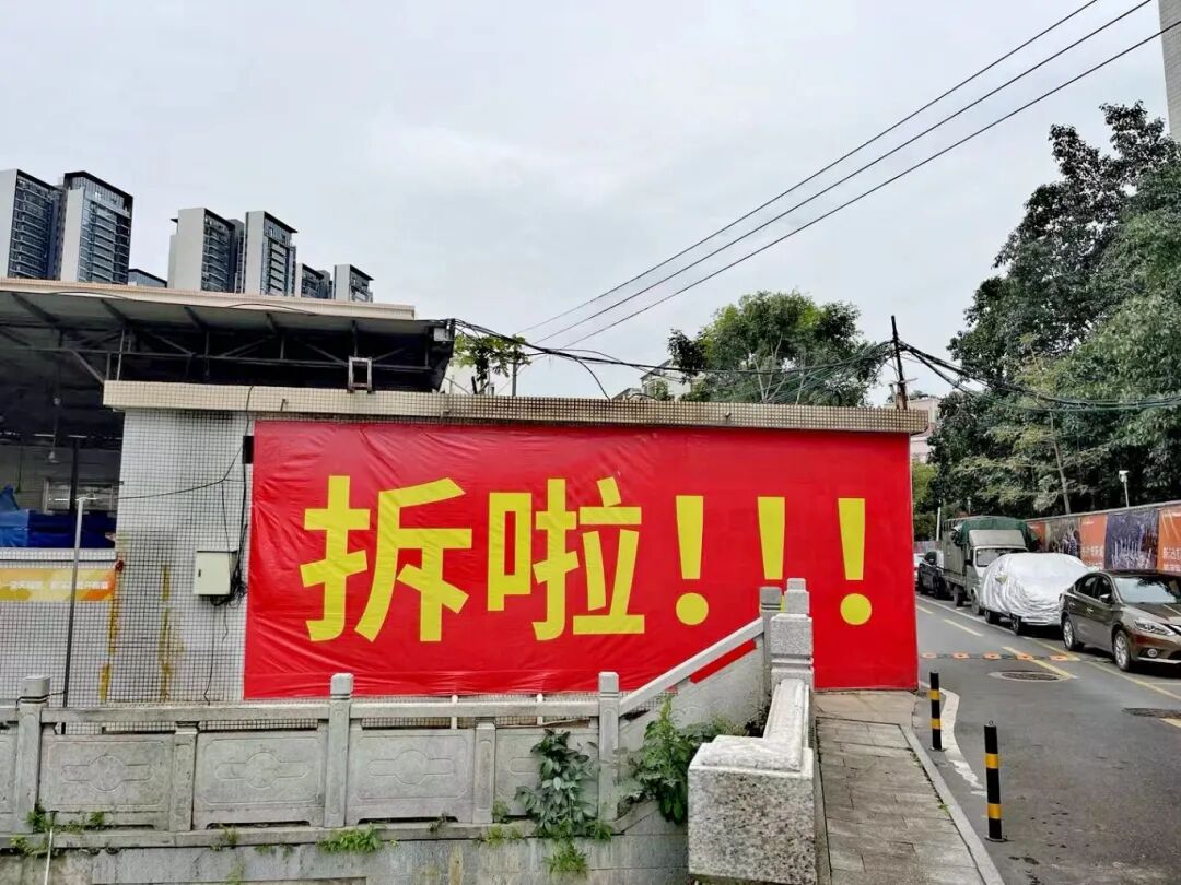 房东龙舟年年有,拆迁暴富倒计时?