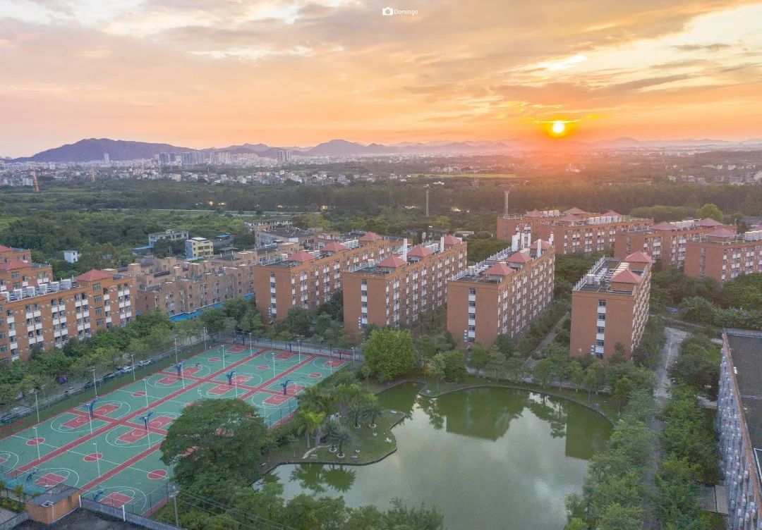 广州南洋理工职业学院2022广东春季高考录取结果可查