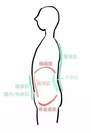 怎么区别呼吸你的呼吸是膈式呼吸还是胸式呼吸，两者有什么区别_https://www.jmylbn.com_新闻资讯_第3张