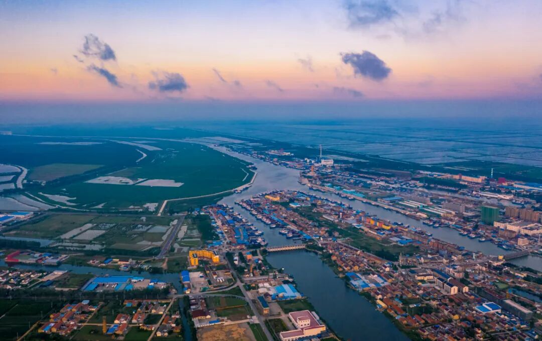 贯彻落实市委八届三次全会精神镇村行丨黄沙港镇药材村