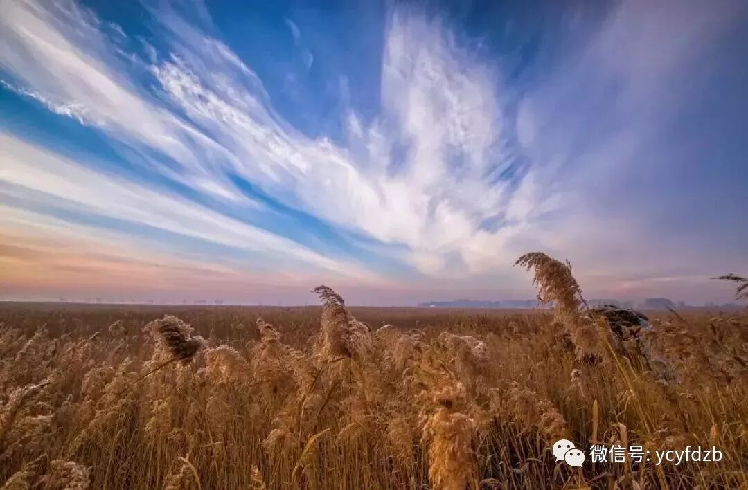 九龙口试点建设通过验收 获批国家湿地公园
