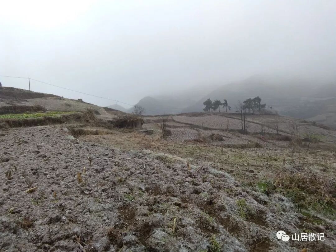 我是远离家乡的游子，我也是在寻找自己存在价值的一个独立的人。