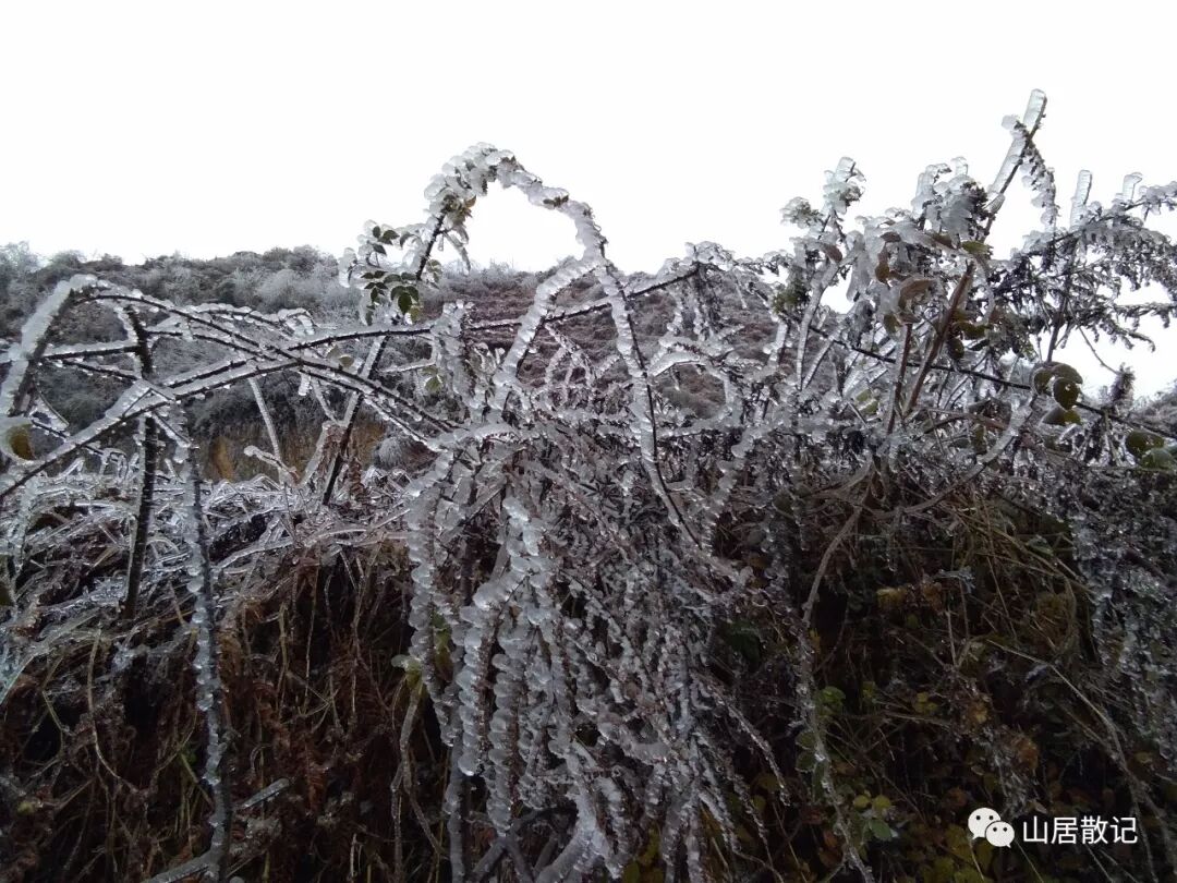 我是远离家乡的游子，我也是在寻找自己存在价值的一个独立的人。