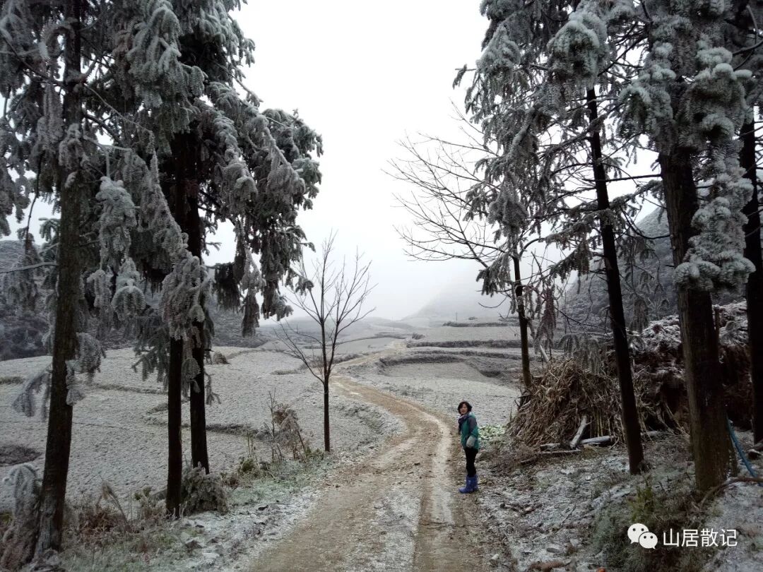 我是远离家乡的游子，我也是在寻找自己存在价值的一个独立的人。