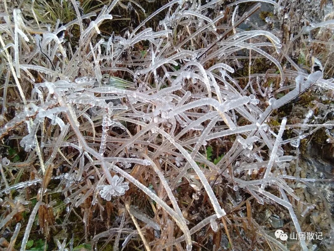 我是远离家乡的游子，我也是在寻找自己存在价值的一个独立的人。