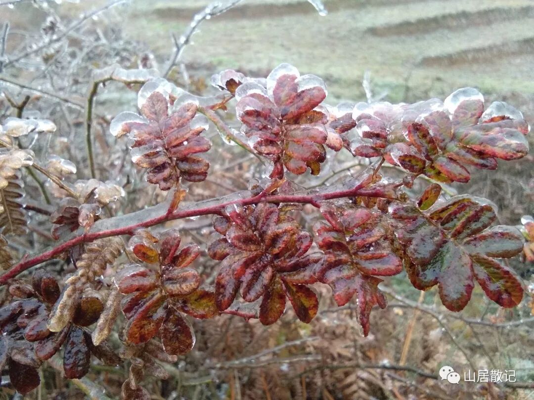 我是远离家乡的游子，我也是在寻找自己存在价值的一个独立的人。