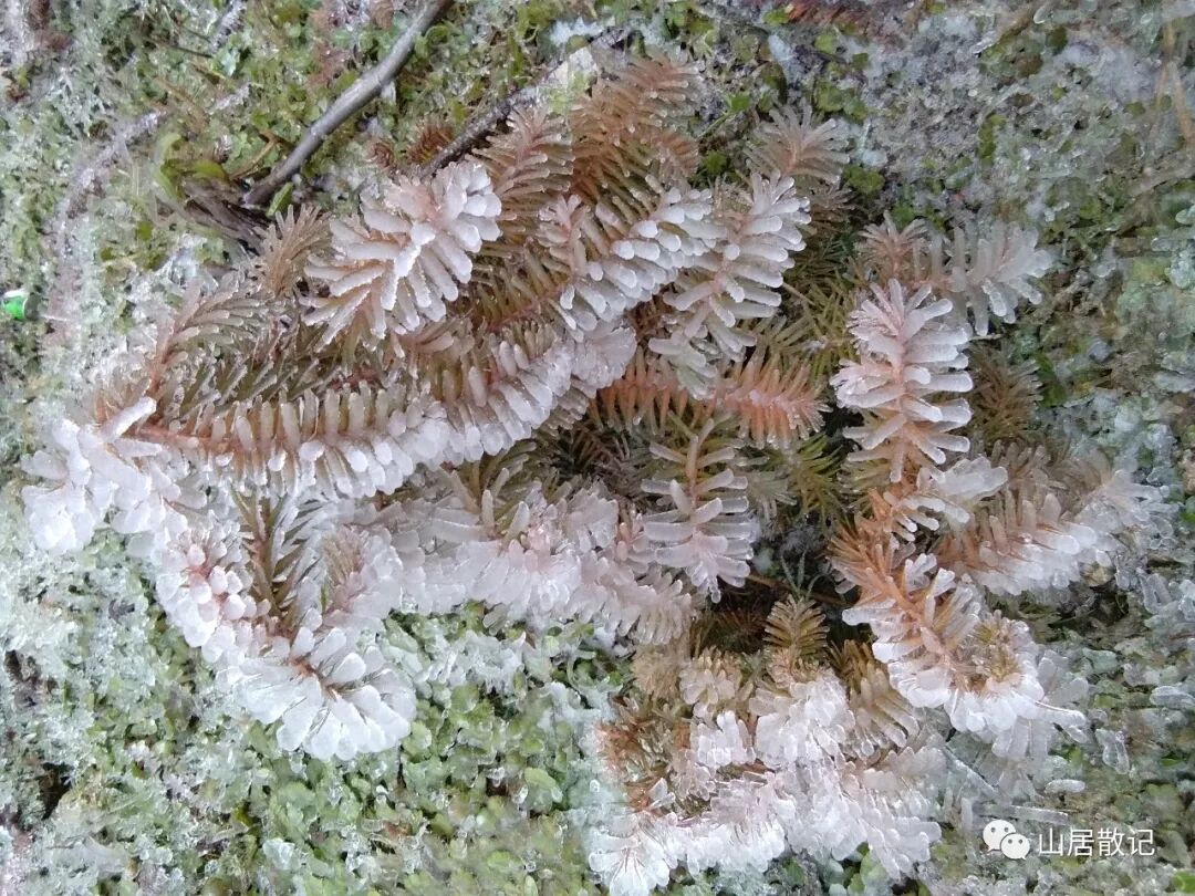 我是远离家乡的游子，我也是在寻找自己存在价值的一个独立的人。