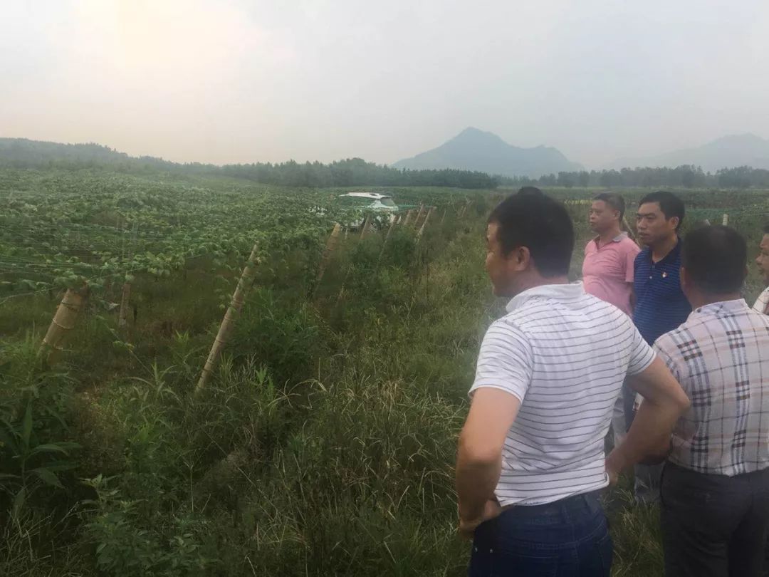 农业致富经_致富农业节目_致富农业网