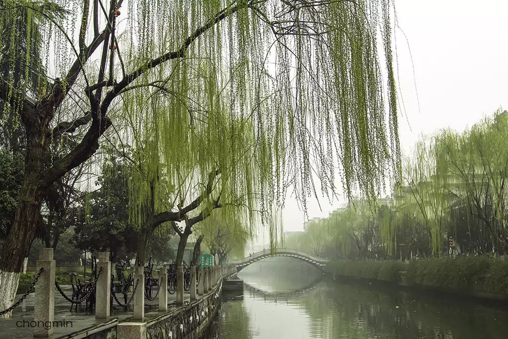 唐多令·柳絮(清·曹雪芹)