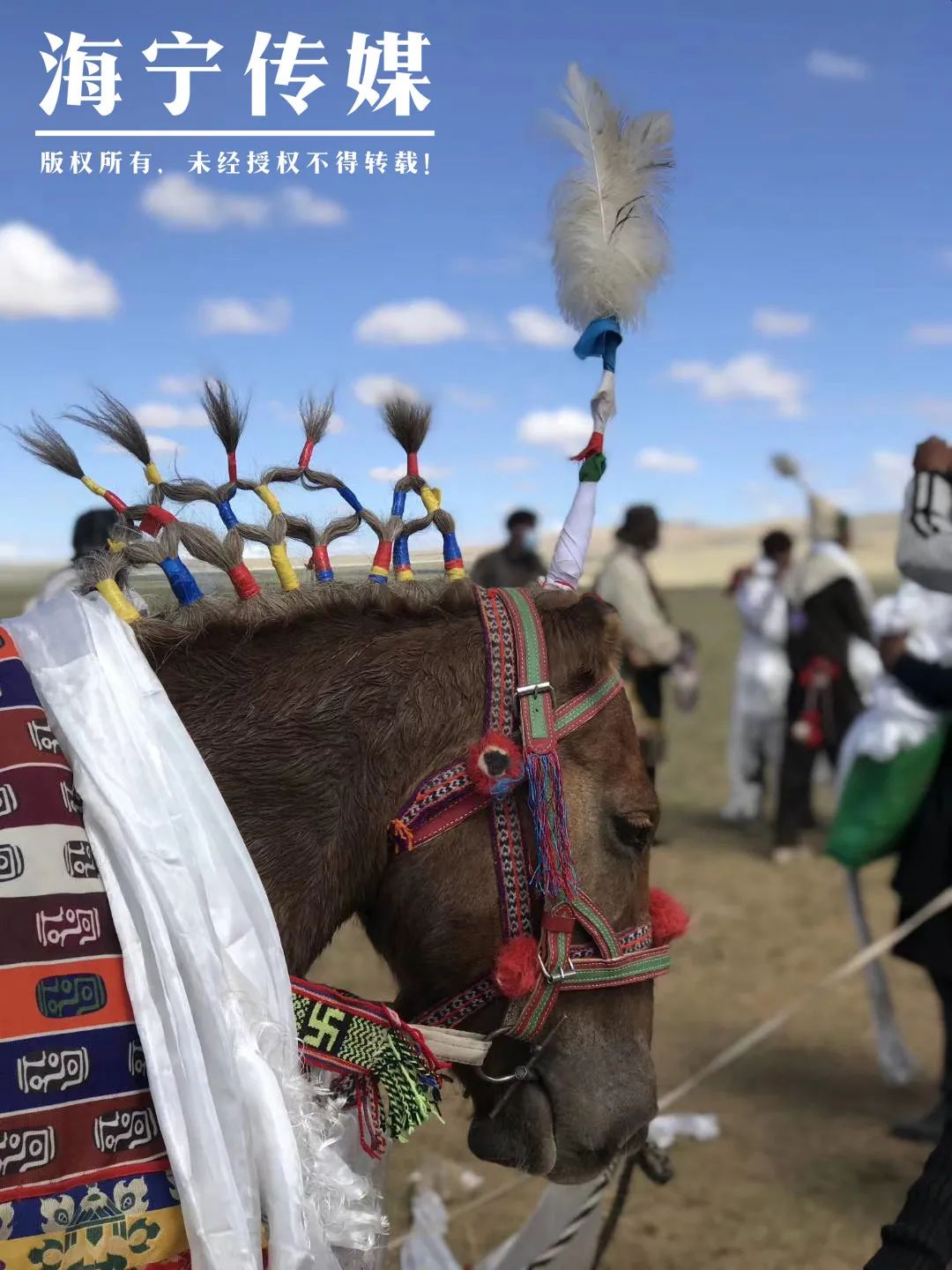 太酷了吧！三個男人騎摩托車8200公里從海寧到西藏！一路上竟遭遇了… 旅遊 第17張