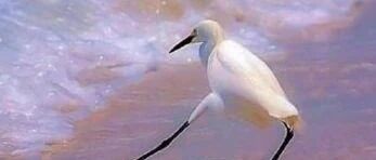 暴涨580%后，小心今年最牛资产又来收割赌徒了