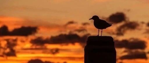 许戈 ｜ 今年涨幅156%的投资品或迎最粗暴的推动？