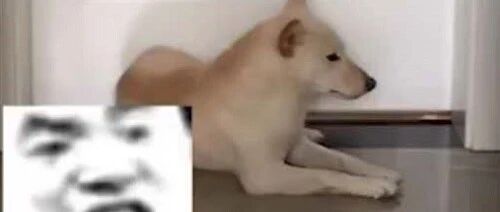 突如其来的涨，补了我的仓……