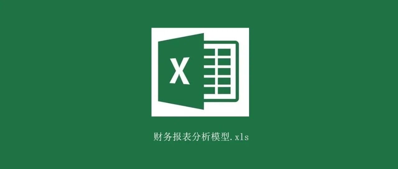 财务报表分析模型.xls！（人手一份）