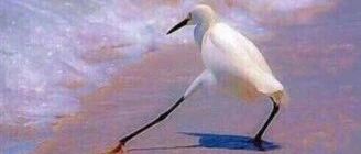 明年“钱生钱”的游戏还能玩下去吗？