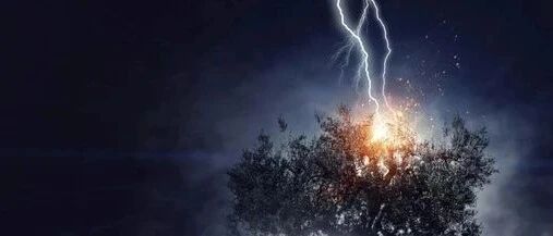 突发！银保监对天安、华夏、易安等6家机构实施接管！