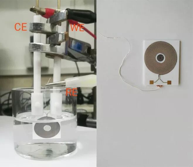 手电极怎么用手把手教你怎么使用叉指电极_https://www.jmylbn.com_新闻资讯_第2张