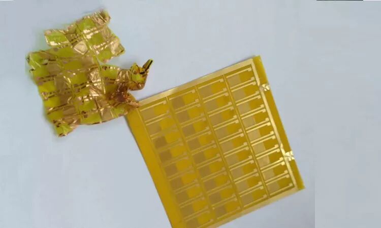 手电极怎么用手把手教你怎么使用叉指电极_https://www.jmylbn.com_新闻资讯_第3张