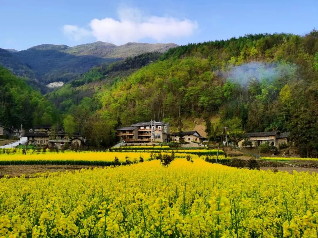 重庆市城口县旅游景点图片