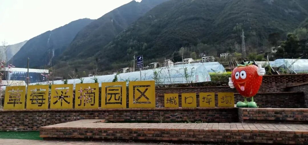 三月城口约你一起赏花采摘不负春光