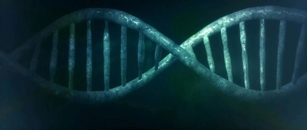 一次治疗就能减少59%坏胆固醇！基因疗法首次在灵长类动物中成功降脂