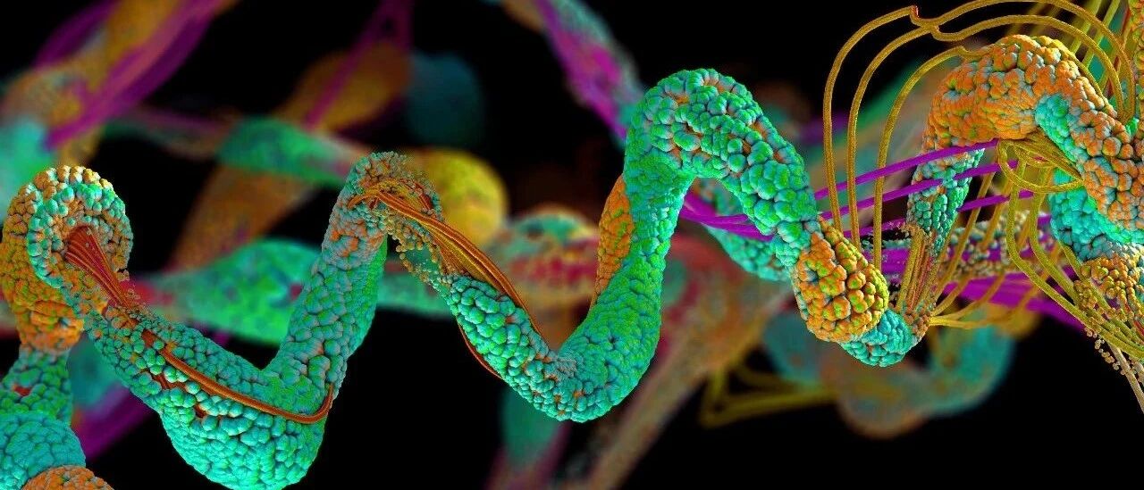 百年蓄势，这是一个优秀的药物分子家族